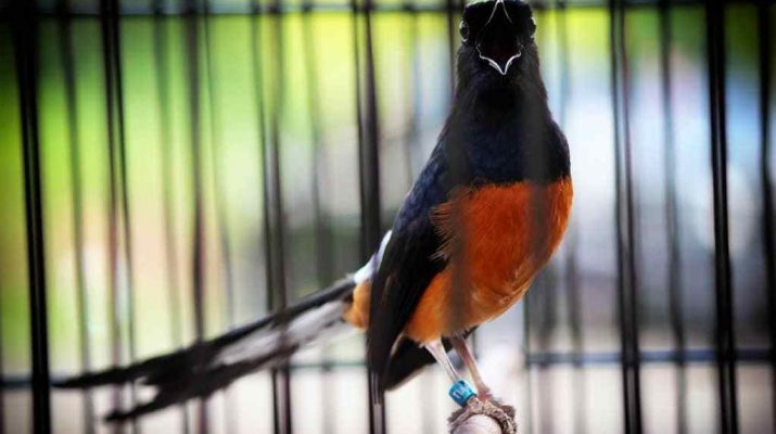 Hobby Archives Berita Dan Informasi Yang Lagi Hot Dan Terbaru